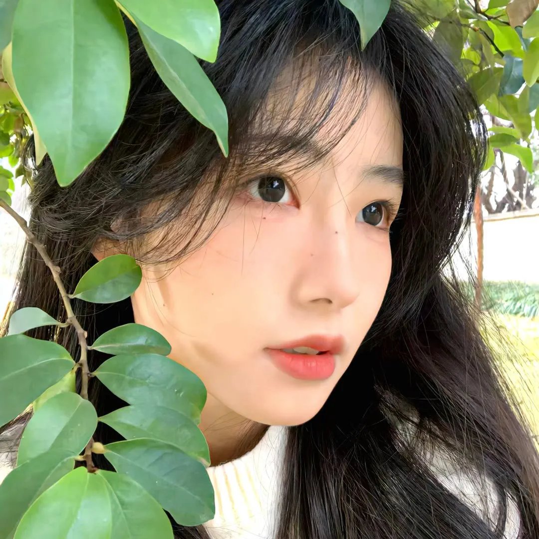 长在屋里的竹笋