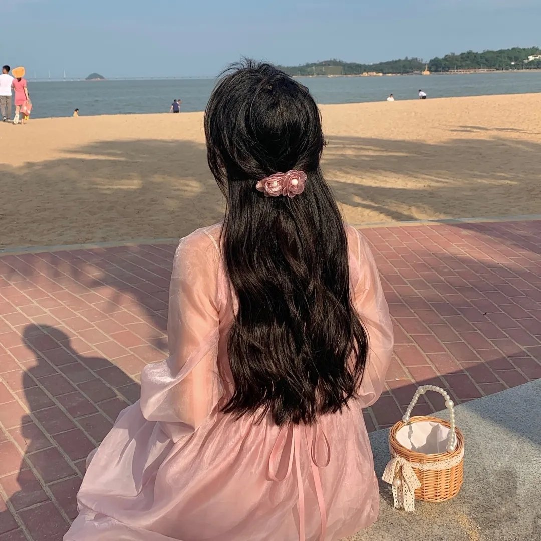 风飞鲨